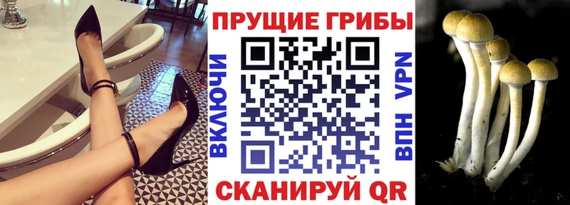 Галлюциногенные грибы Magic Shrooms  Новая Ляля 